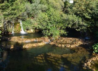 Tekfour Serai and the Palace Question